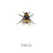 Load image into Gallery viewer, Bumble Bee Watercolour Fine Art Print