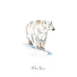 Load image into Gallery viewer, Polar Bear - Personalised Watercolour Fine Art Print