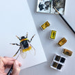 Load image into Gallery viewer, Bumble Bee Watercolour Fine Art Print