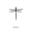 Load image into Gallery viewer, Dragonfly Watercolour Fine Art Print