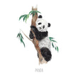 Load image into Gallery viewer, Panda Bear - Personalised watercolour print