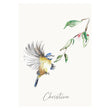 Load image into Gallery viewer, Personalised Blue Tit Garden Bird Wall print