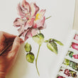 Load image into Gallery viewer, Rose - June Birth Flower - Watercolour Fine Art Print