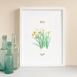 Load image into Gallery viewer, Daffodils - March Birth Flower - Watercolour Fine Art Print