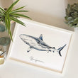 Load image into Gallery viewer, Personalised Shark Watercolour Fine Art Print