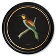 Load image into Gallery viewer, Kingfisher and Bee Eater