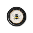 Load image into Gallery viewer, British Bees