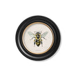 Load image into Gallery viewer, British Bees