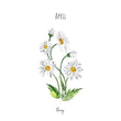 Load image into Gallery viewer, Daisy - April Birth Flower - Watercolour Fine Art Print
