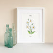 Load image into Gallery viewer, Daisy - April Birth Flower - Watercolour Fine Art Print