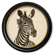 Load image into Gallery viewer, Zebra Illustrations