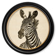 Load image into Gallery viewer, Zebra Illustrations