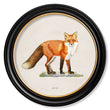 Load image into Gallery viewer, Red Fox