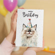 Load image into Gallery viewer, Ragdoll Cat