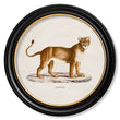 Load image into Gallery viewer, Lion & Lioness