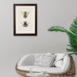 Load image into Gallery viewer, Honey and Bumble Bee