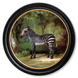 Load image into Gallery viewer, George Stubb's Zebra