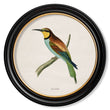 Load image into Gallery viewer, Kingfisher and Bee Eater
