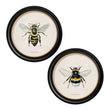 Load image into Gallery viewer, British Bees
