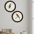 Load image into Gallery viewer, Kingfisher and Bee Eater
