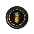 Load image into Gallery viewer, c.1812 Pineapple Study - Round Frame - The Weird & Wonderful