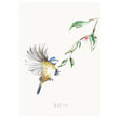 Load image into Gallery viewer, Personalised Blue Tit Garden Bird Wall print