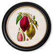 Load image into Gallery viewer, Chocolate Plant