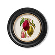 Load image into Gallery viewer, Chocolate Plant