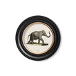 Load image into Gallery viewer, Elephants