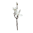 Load image into Gallery viewer, Faux White Magnolia Single Stem Floral