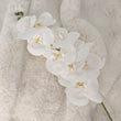 Load image into Gallery viewer, Faux White Orchid Single Stem Floral