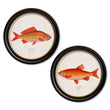 Load image into Gallery viewer, Goldfish and Golden Orfe
