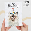 Load image into Gallery viewer, Ragdoll Cat