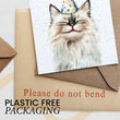 Load image into Gallery viewer, Ragdoll Cat