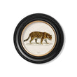 Load image into Gallery viewer, Jaguar
