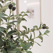 Load image into Gallery viewer, Large Faux Potted Olive Tree