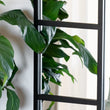 Load image into Gallery viewer, Full Length Black Metal Arched Window Mirror