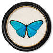 Load image into Gallery viewer, Tropical Butterflies