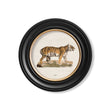 Load image into Gallery viewer, Tiger