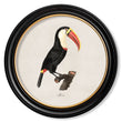 Load image into Gallery viewer, Toucans