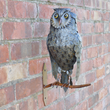 Load image into Gallery viewer, Owl