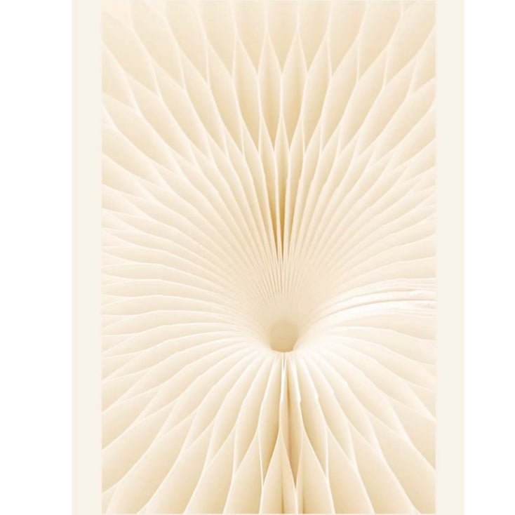 Accordion Classic Stool, Kraft Paper - Miola