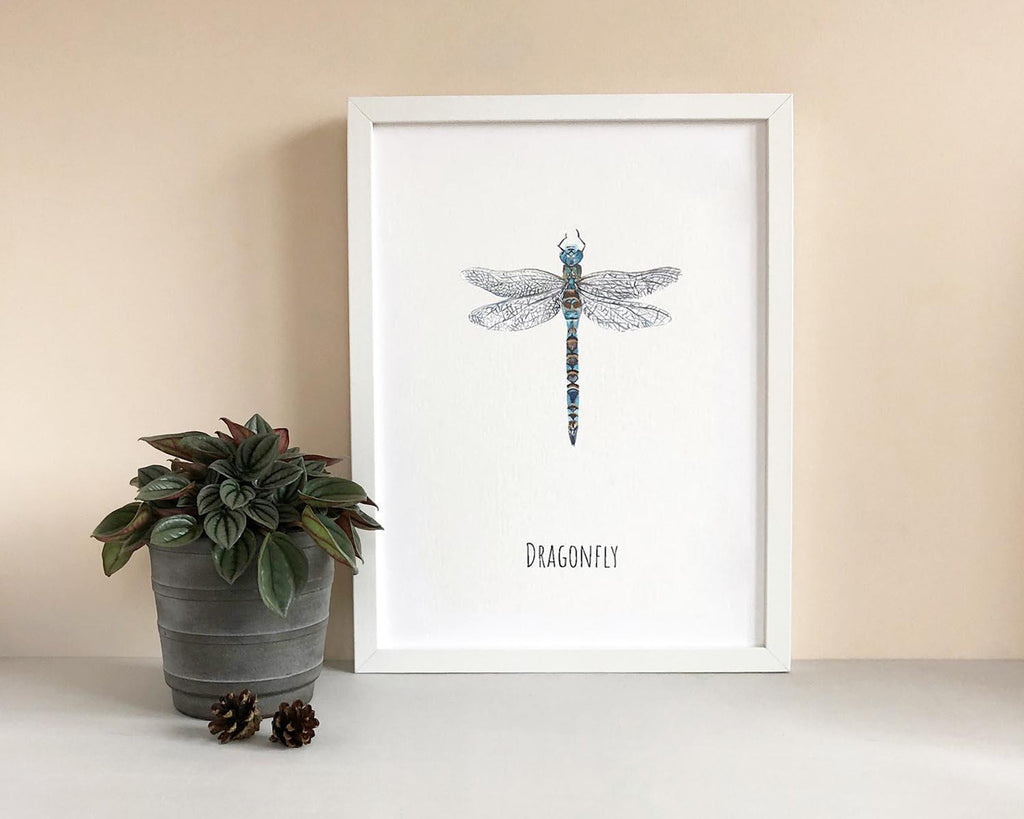Dragonfly Watercolour Fine Art Print