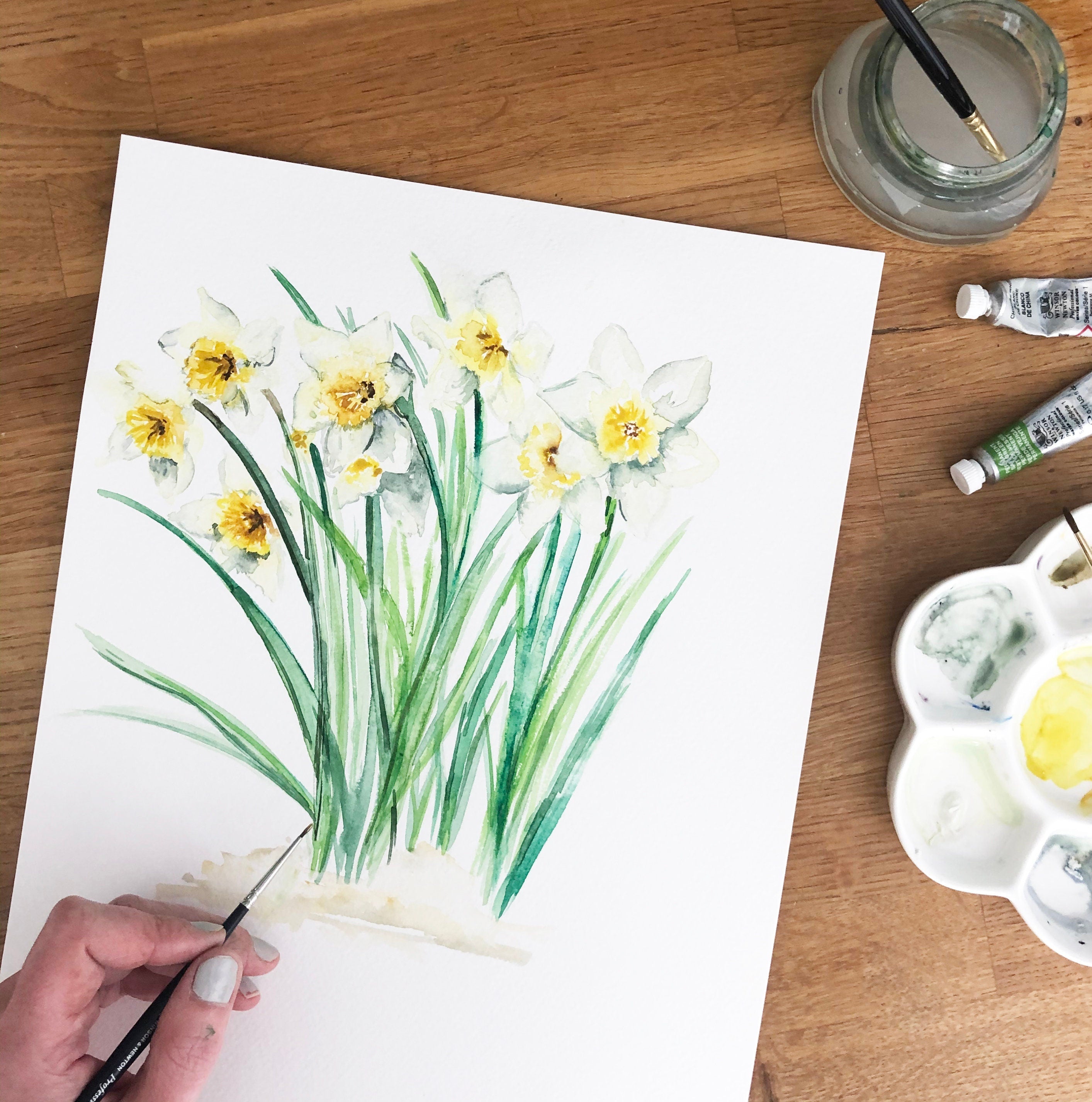 Daffodils - March Birth Flower - Watercolour Fine Art Print