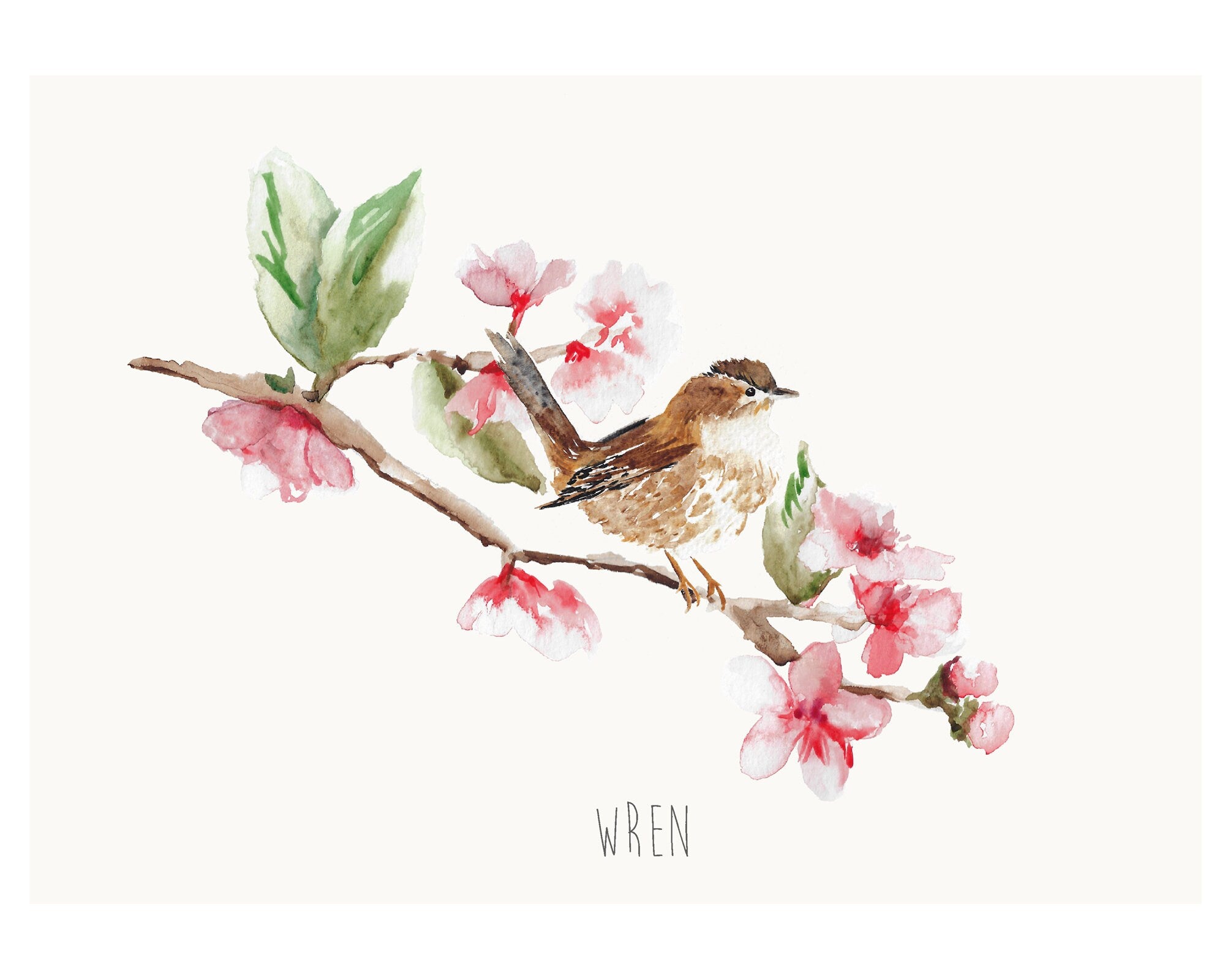 Wren British Garden Bird Personalised Print