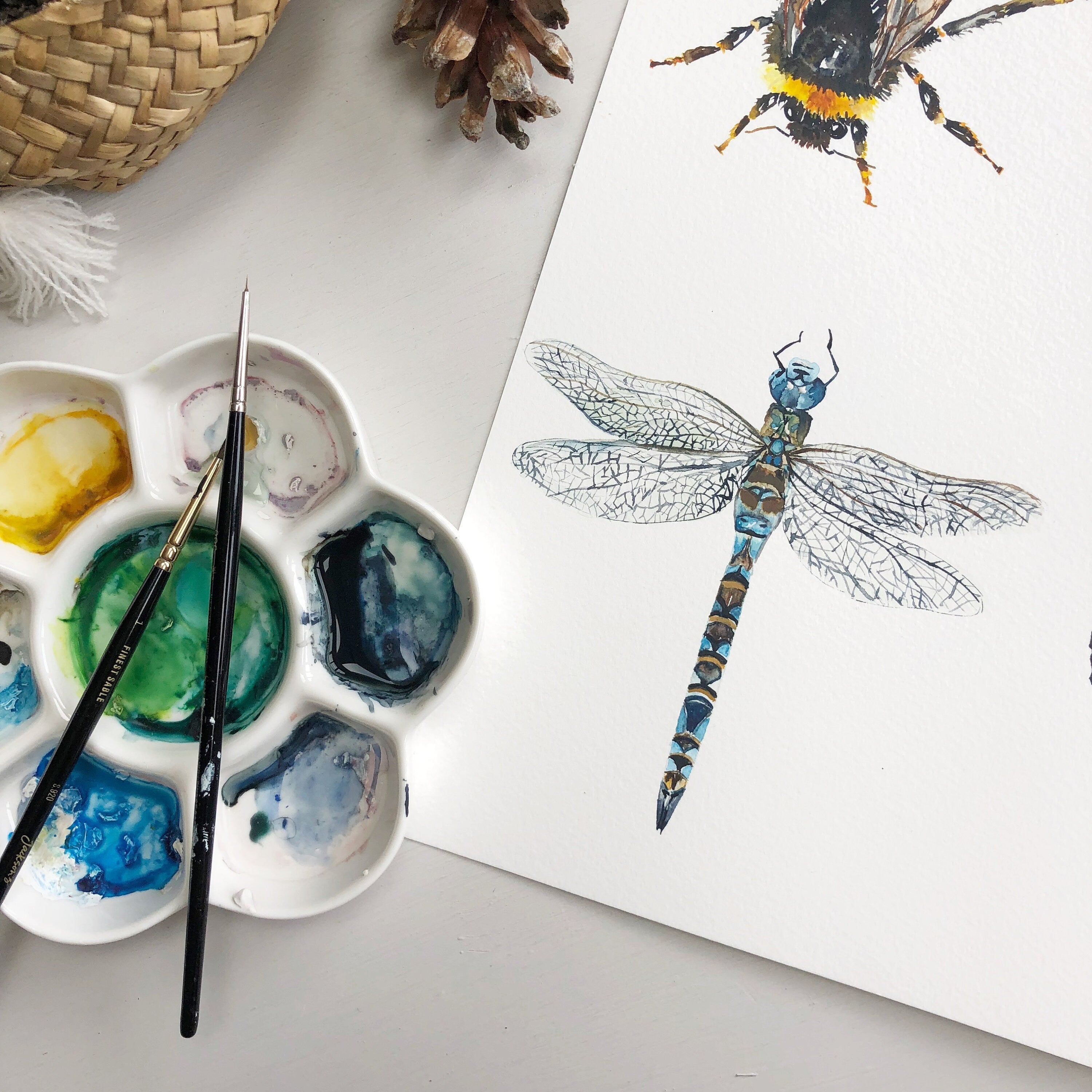 Dragonfly Watercolour Fine Art Print