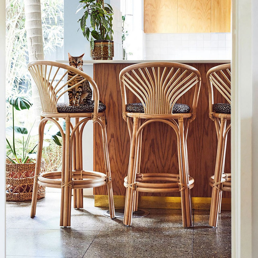 Jafari Bar Stool - Miola