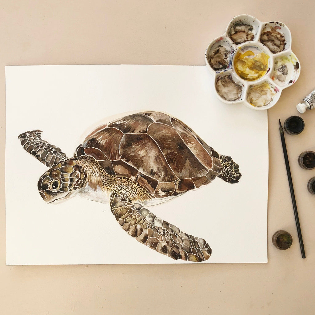 Turtle - Personalised Watercolour Fine Art Print - Miola