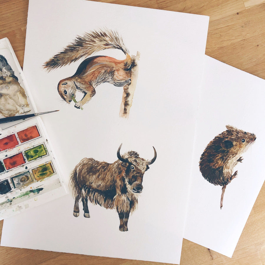 Animal Alphabet Children's Wall Print