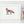 Load image into Gallery viewer, Fox Watercolour Art Print
